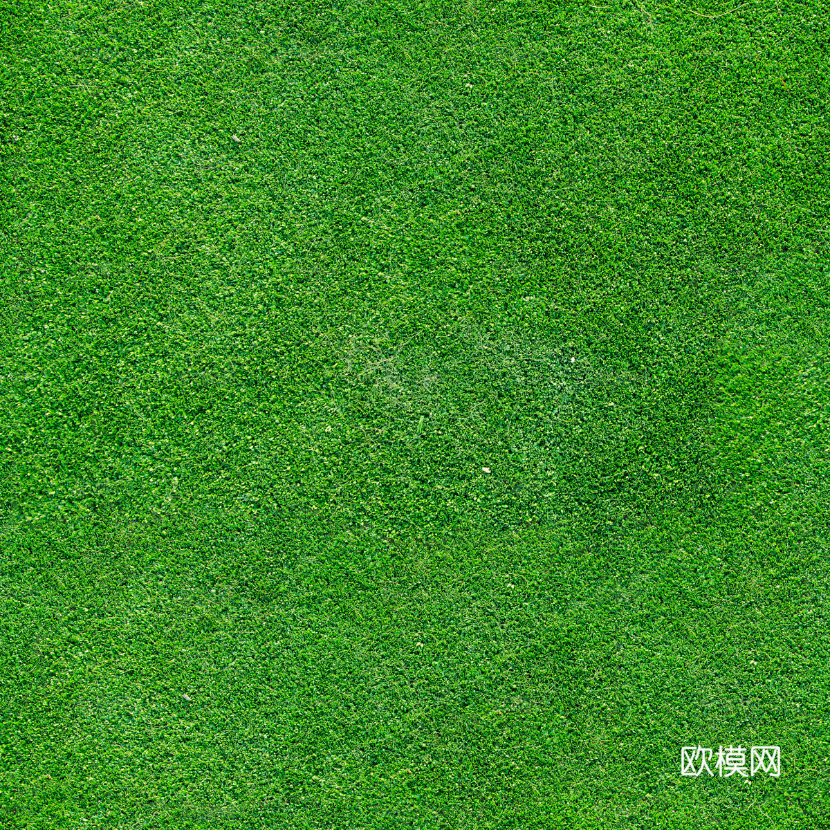 草地草皮草坡141下载