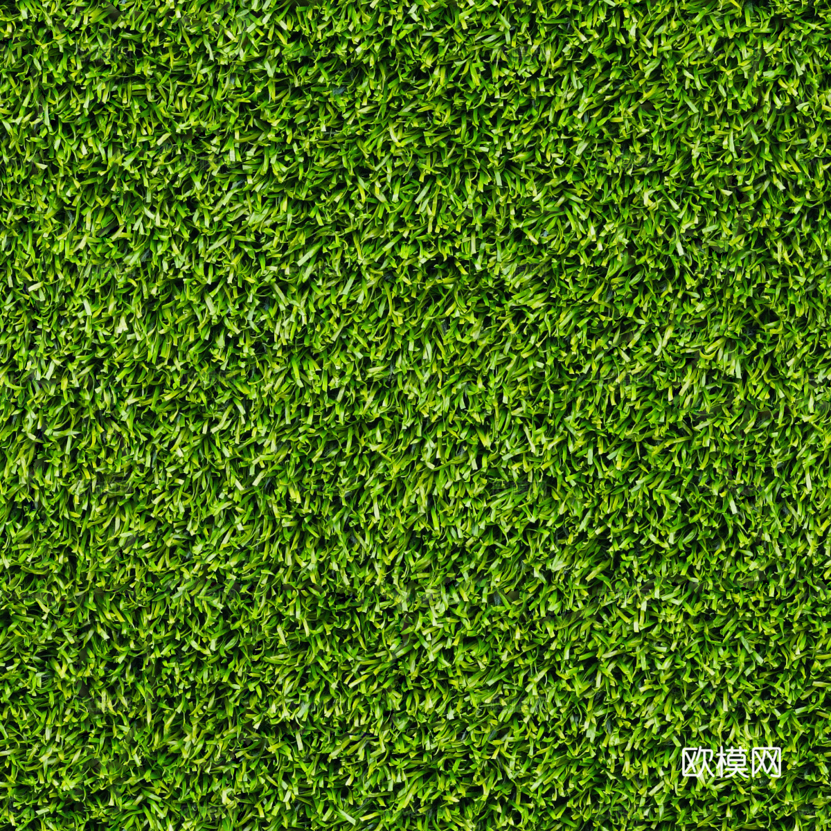 草地草皮草坡20下载