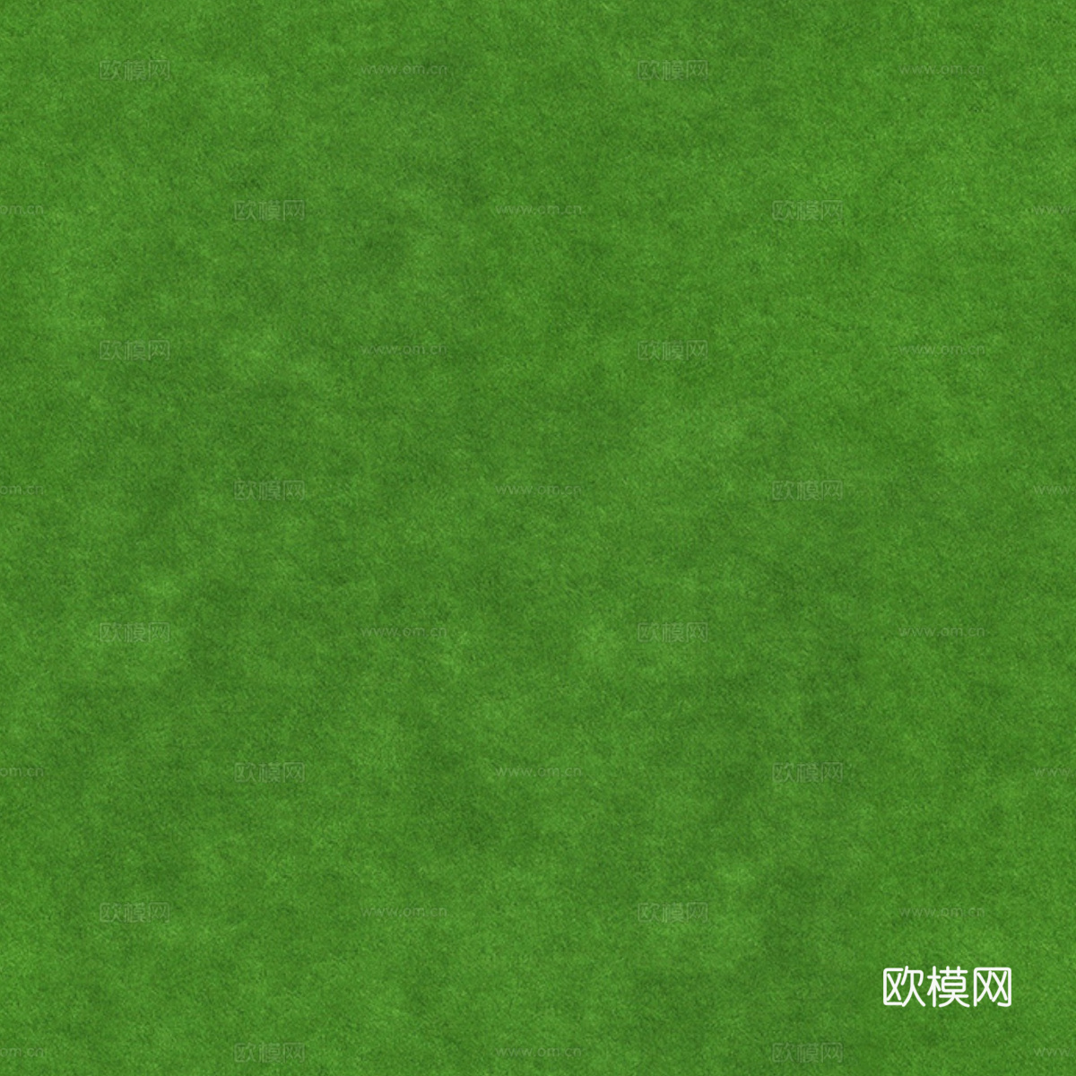 草地草皮草坡76