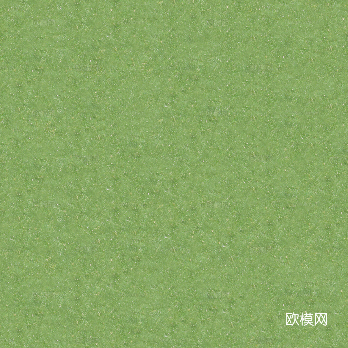 草地草皮草坡106下载