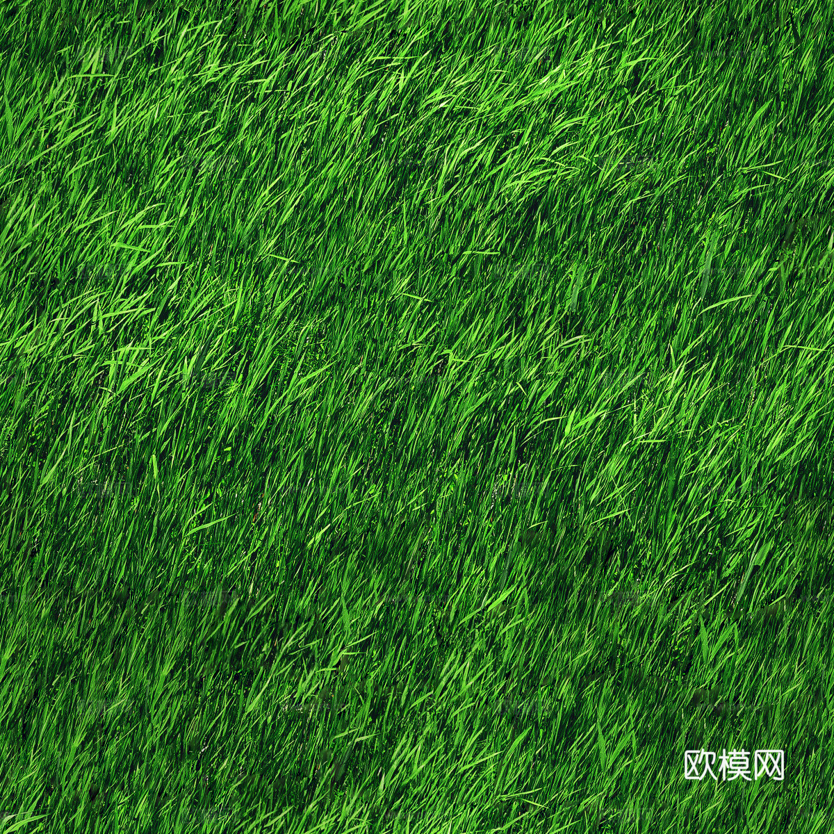 草地草皮草坡39