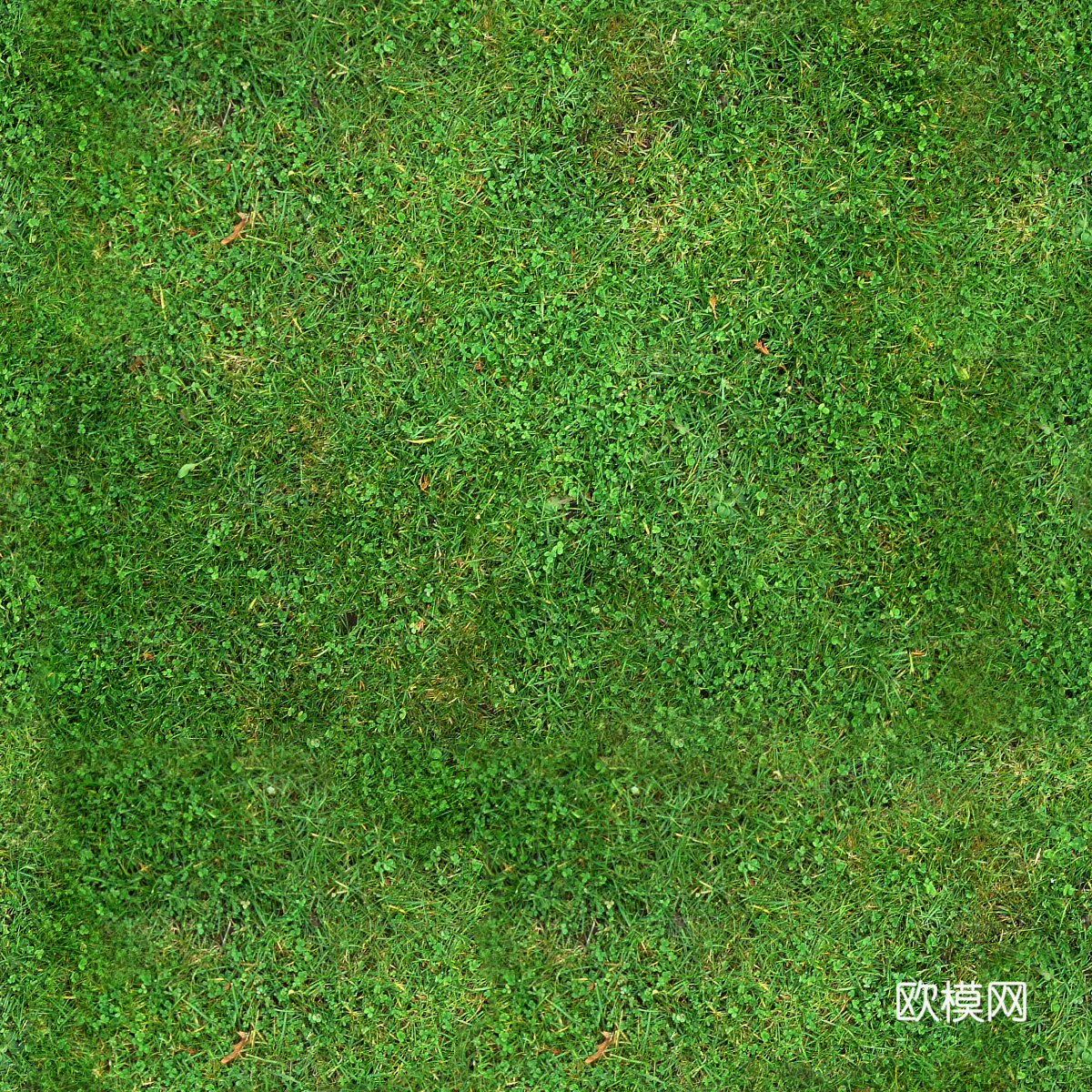 草地草皮草坡95下载