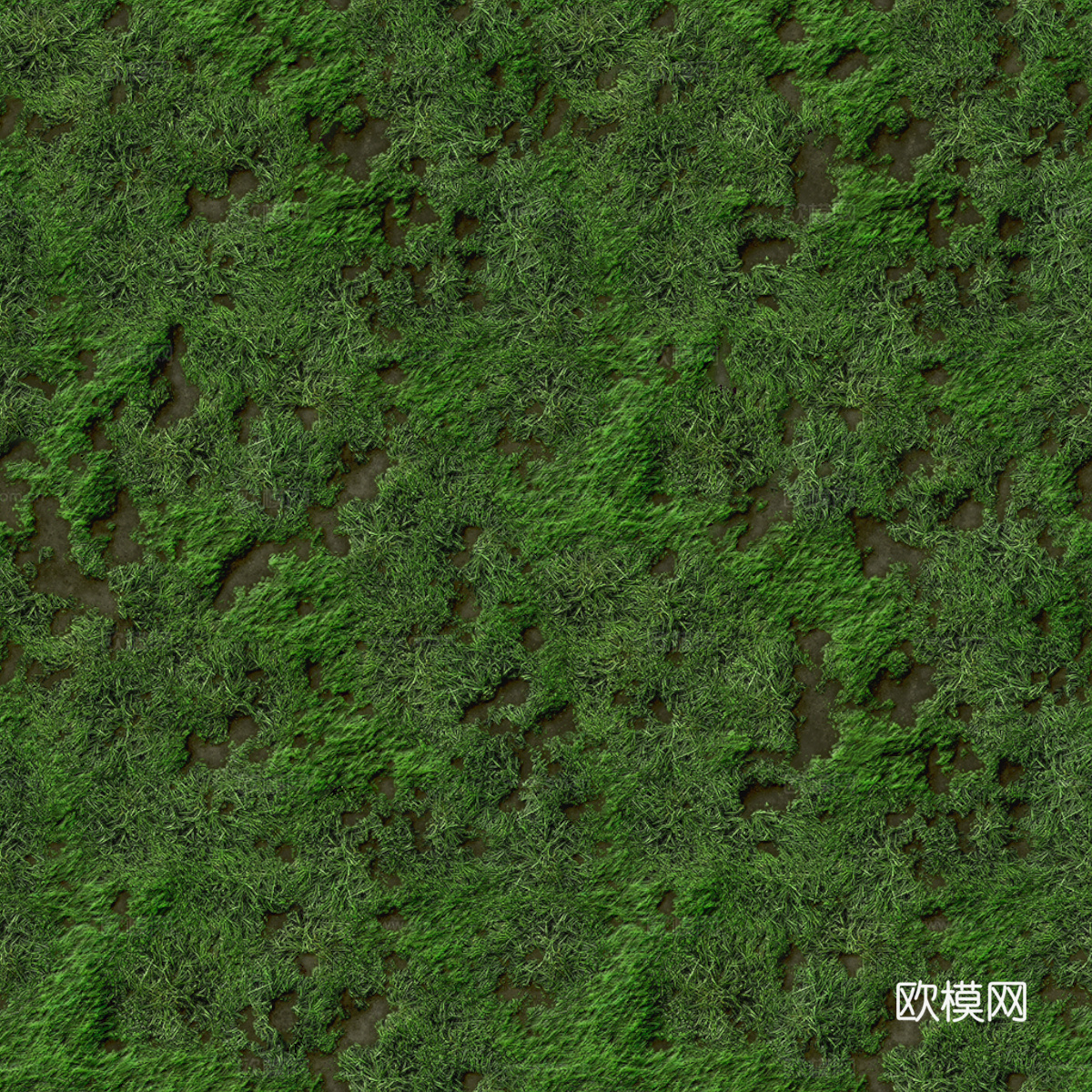 草地草皮草坡32