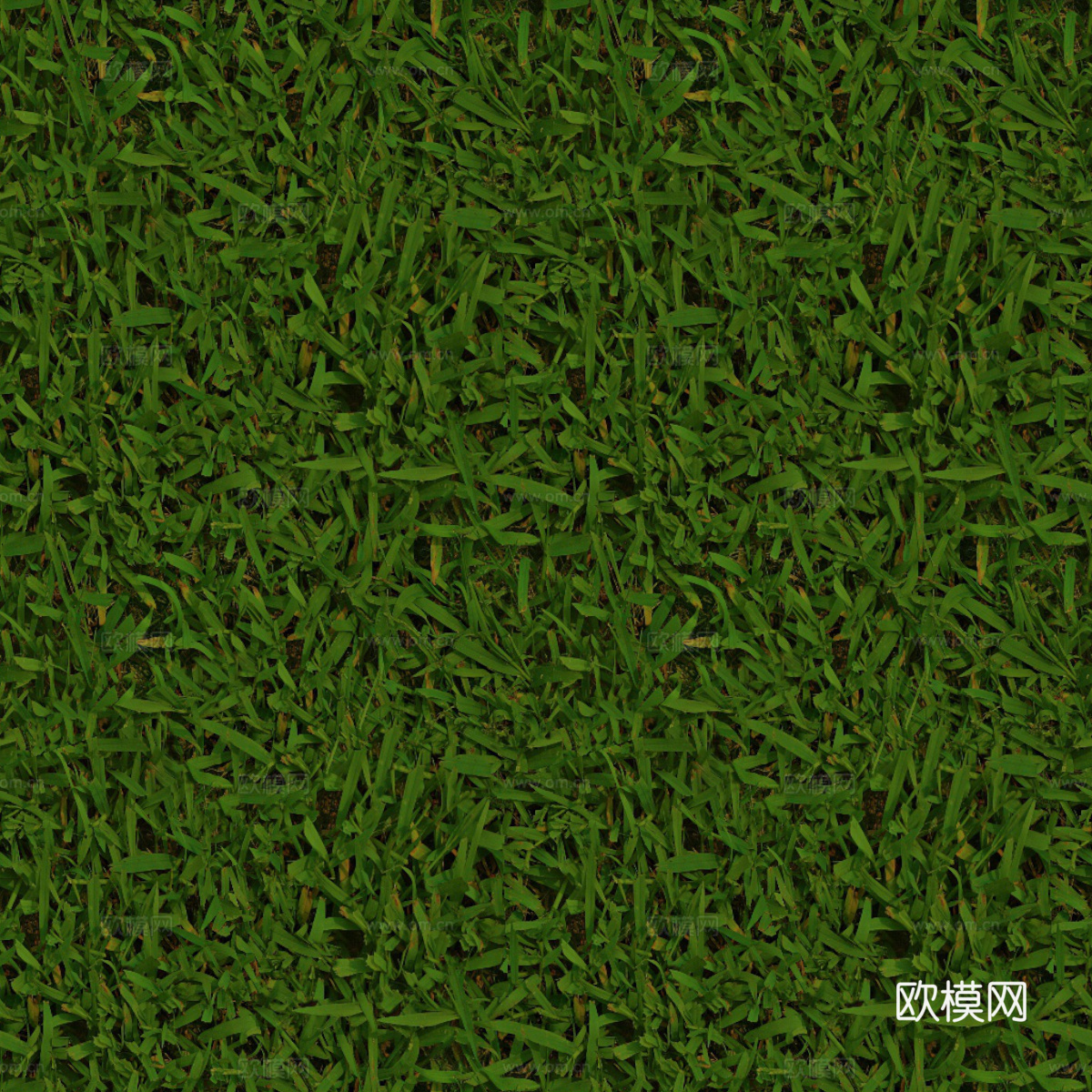 草地草皮草坡37