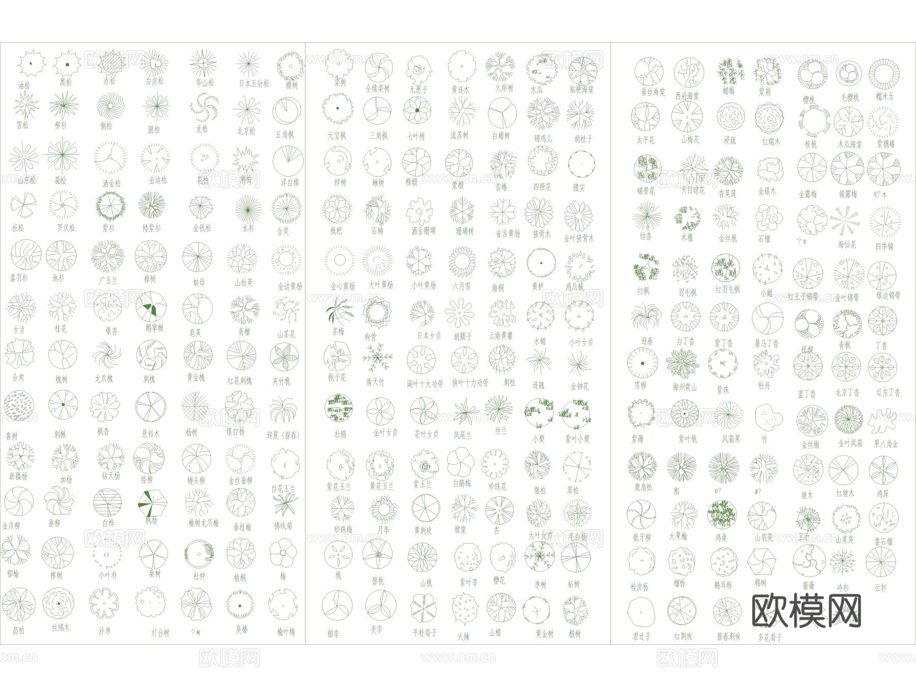 2026年最新超全园林景观植物树木图例平面立面CAD图库cad施工图