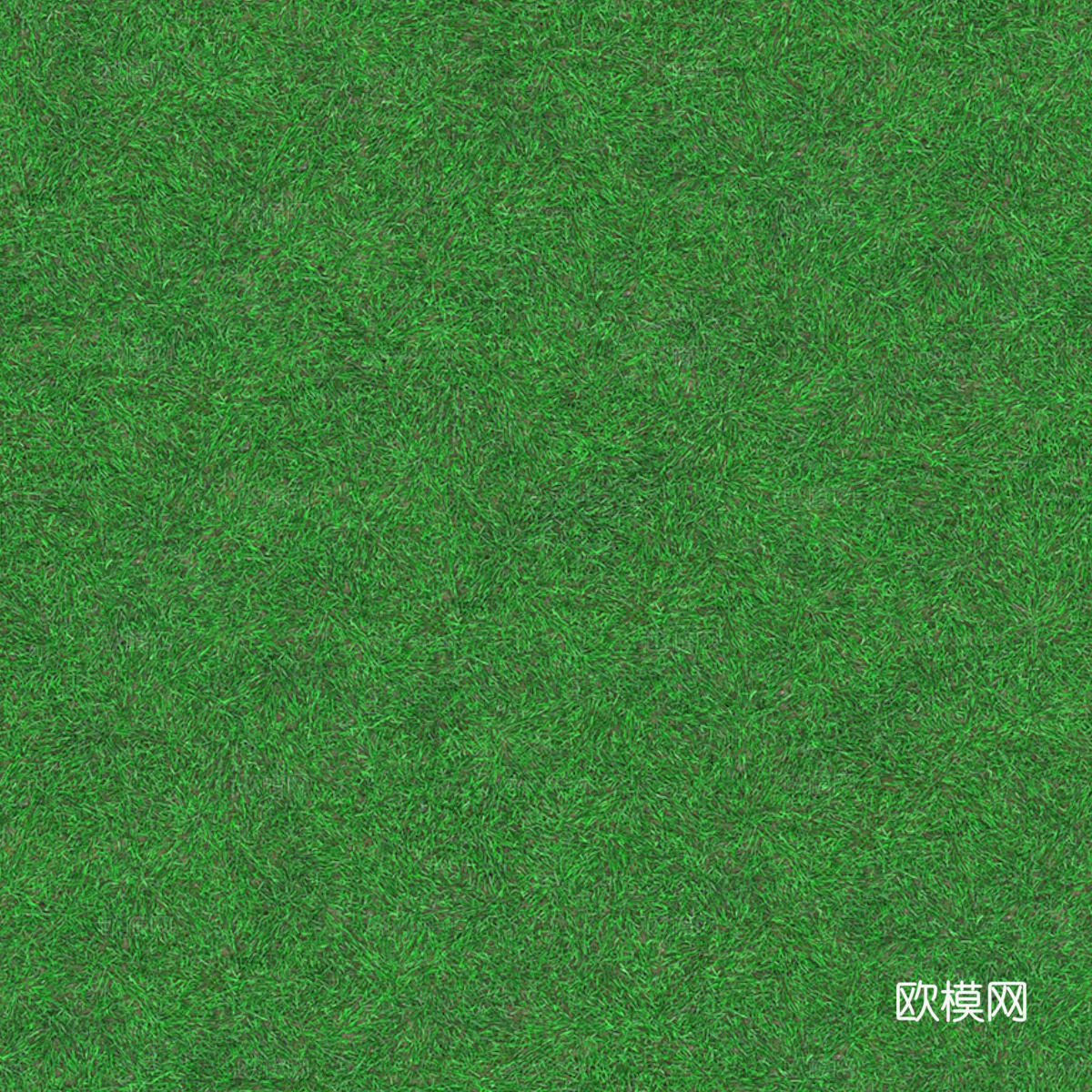 草地草皮草坡69