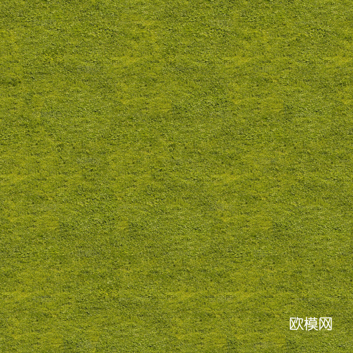 草地草皮草坡110