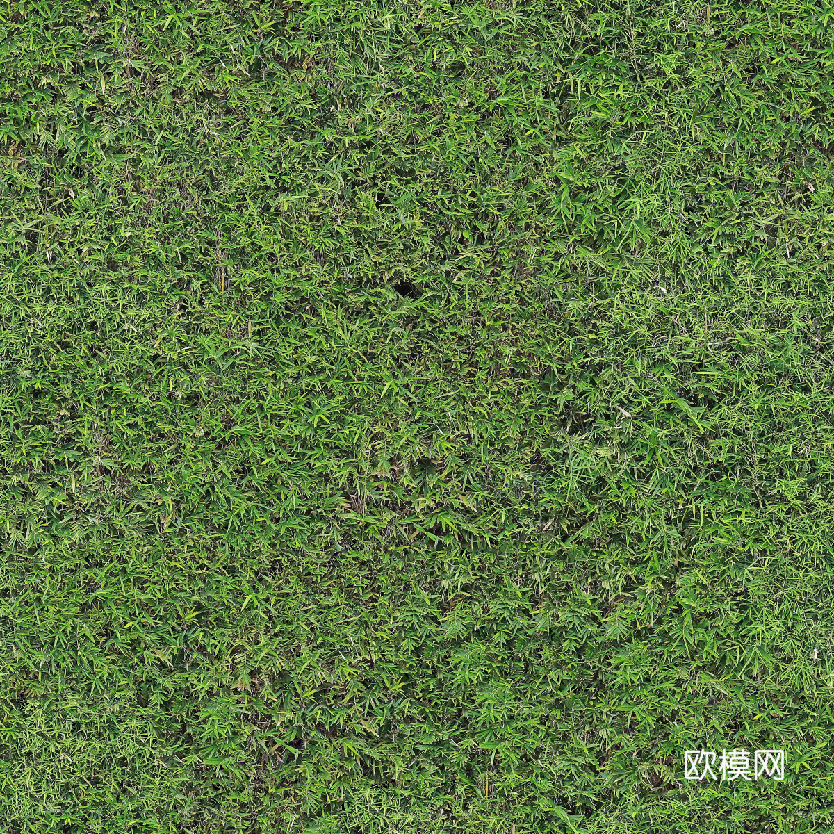 草地草皮草坡128下载