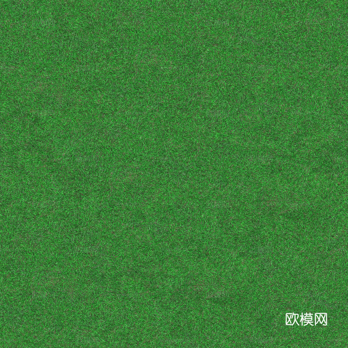 草地草皮草坡87下载