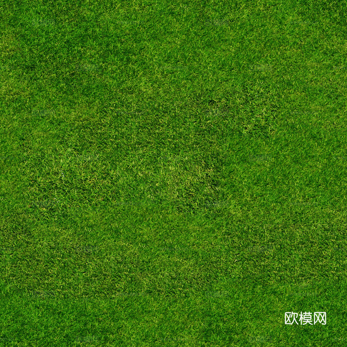 草地草皮草坡139下载