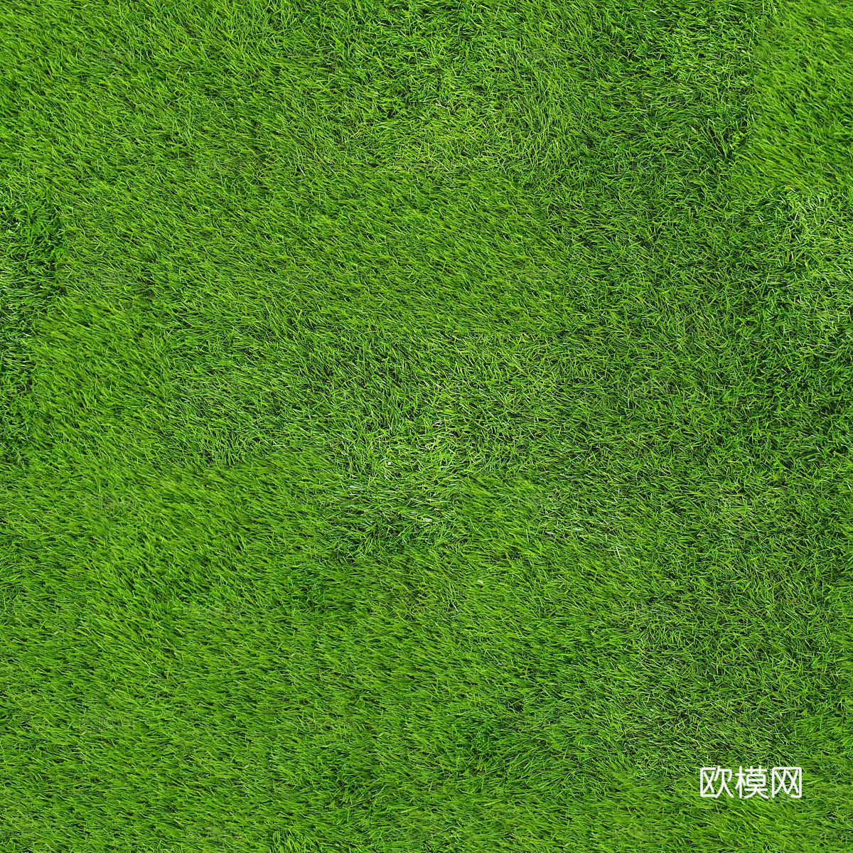 草地草皮草坡119下载