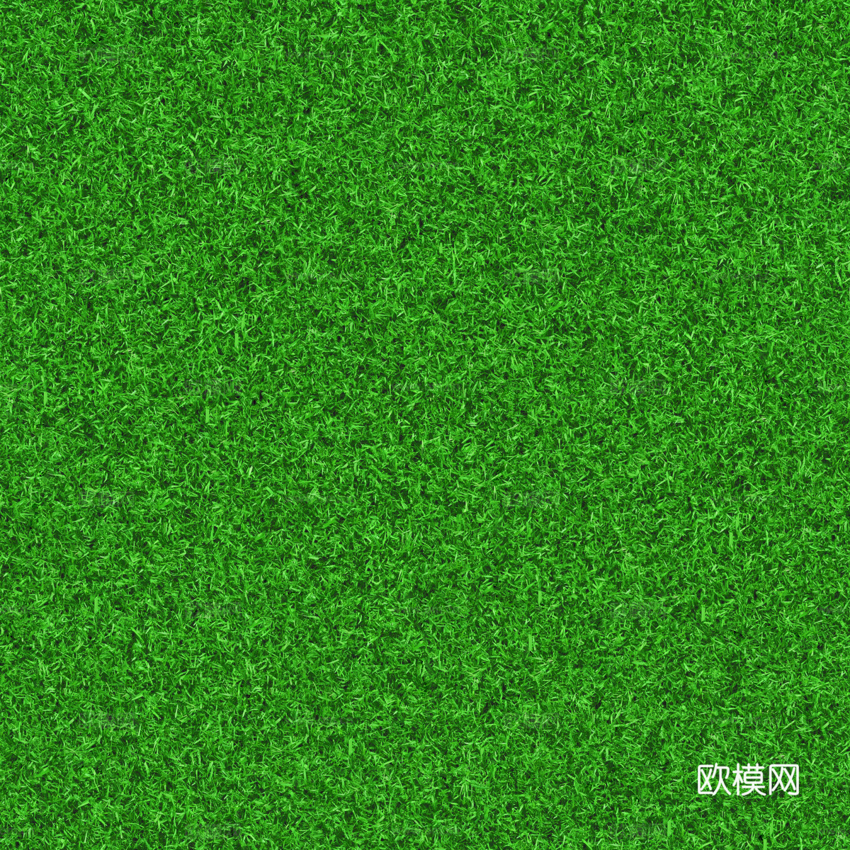 草地草皮草坡93下载