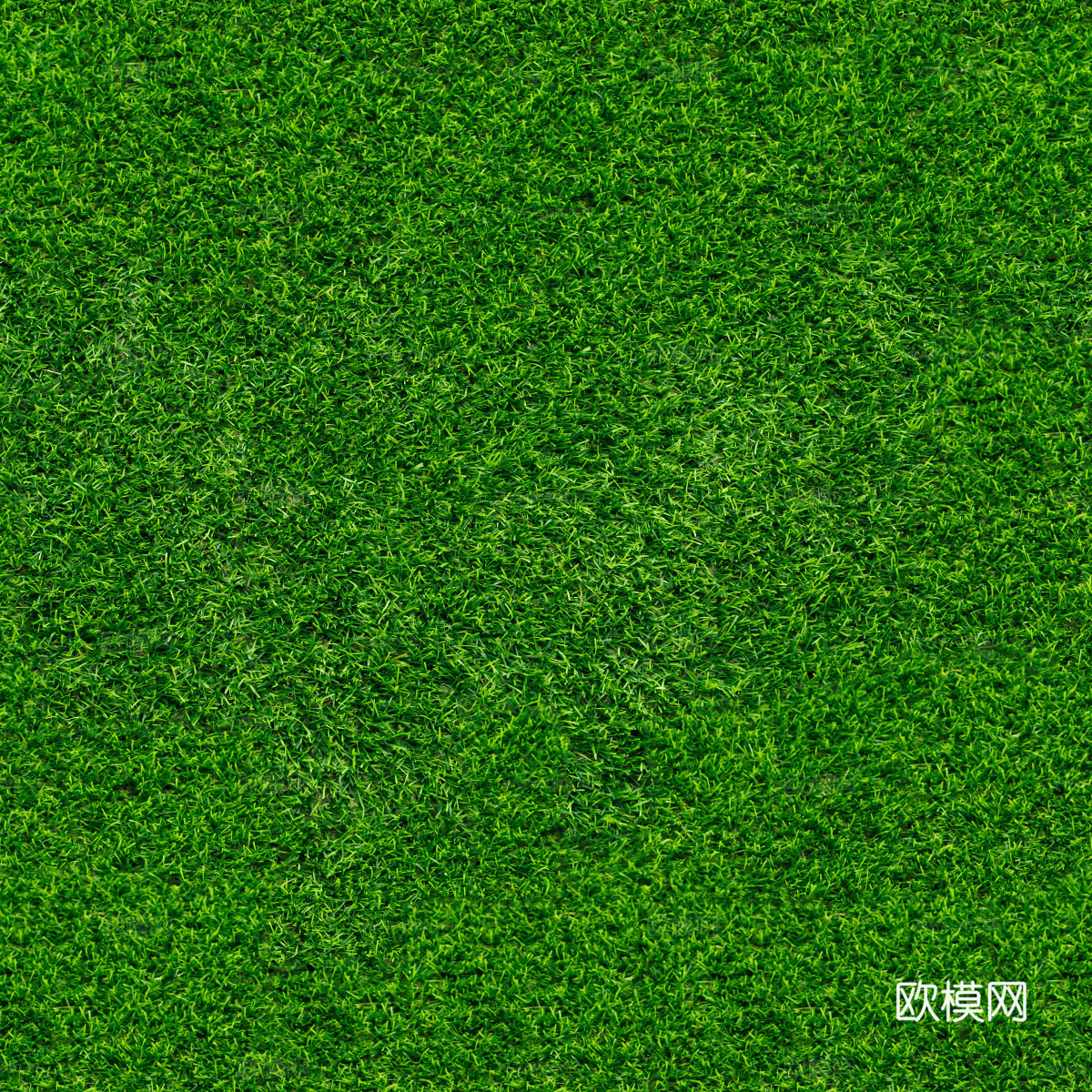 草地草皮草坡117下载