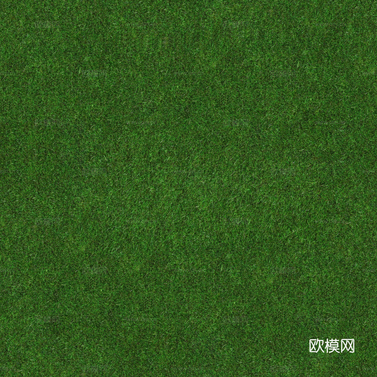 草地草皮草坡135下载