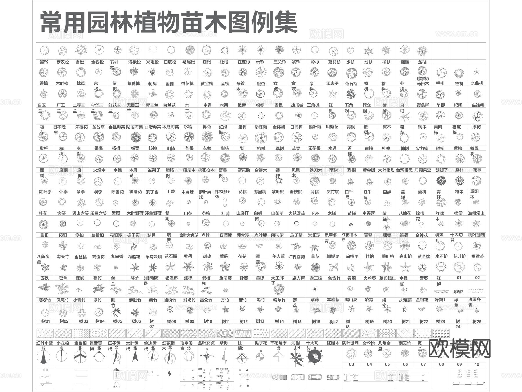 2026年最新超全园林景观植物树木图例平面立面CAD图库cad施工图