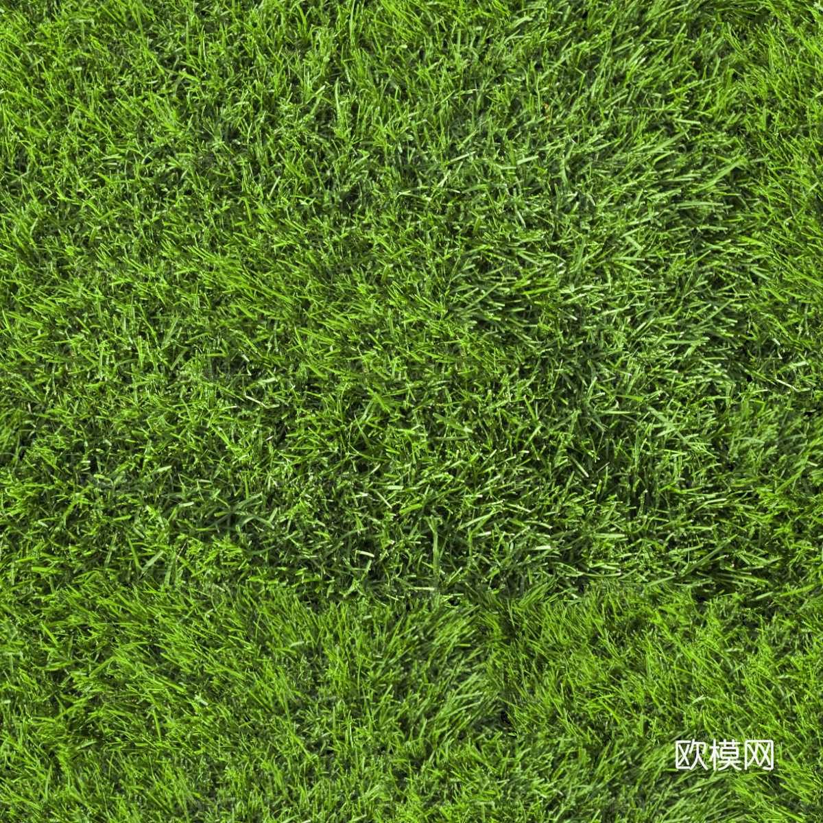 草地草皮草坡57