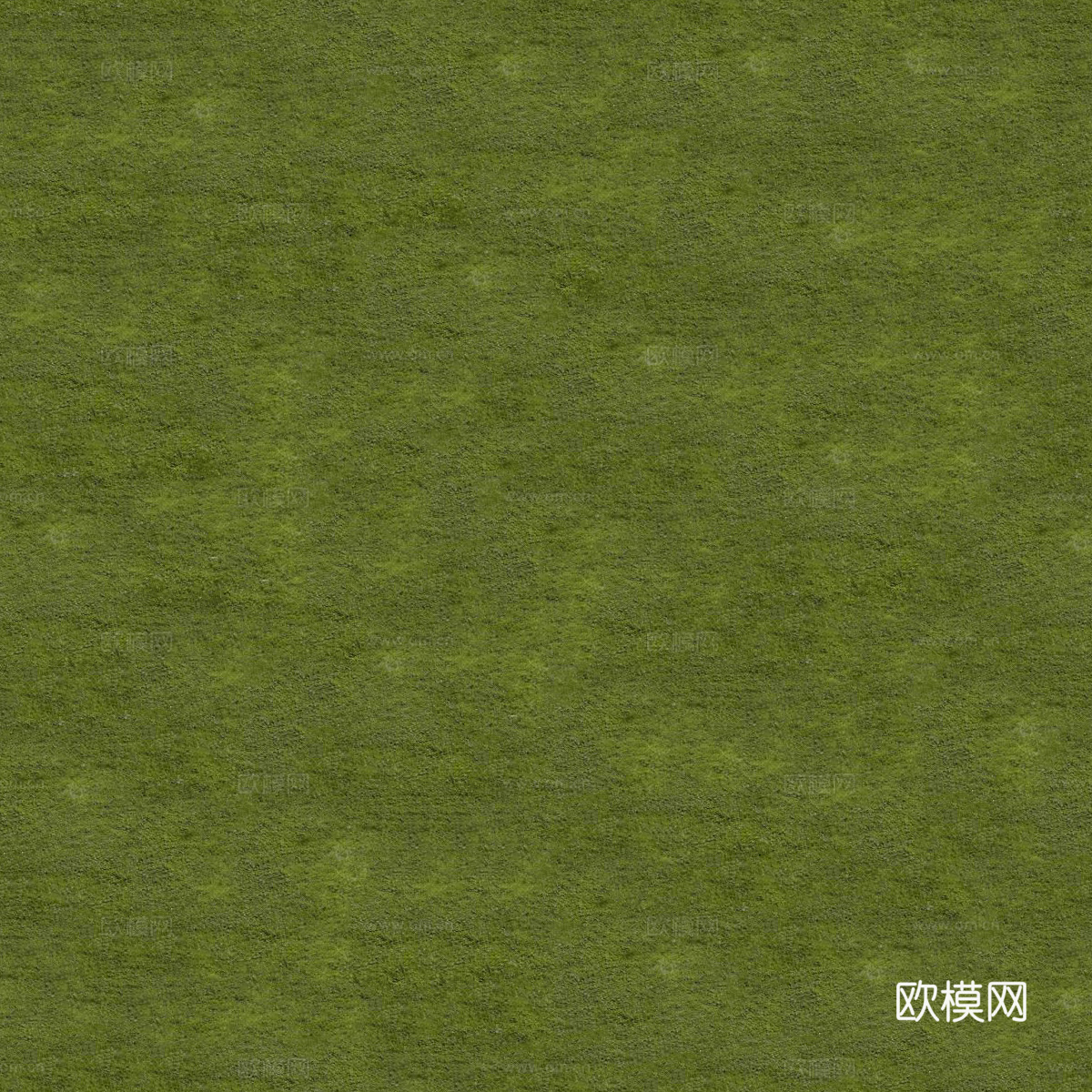 草地草皮草坡114