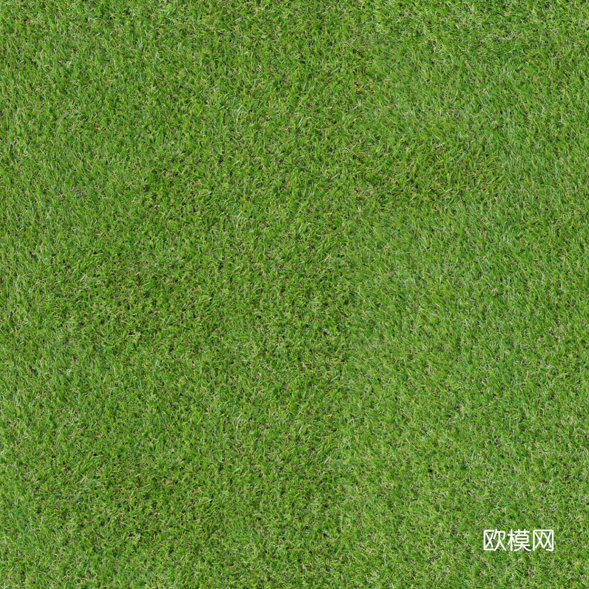 草地草皮草坡118下载