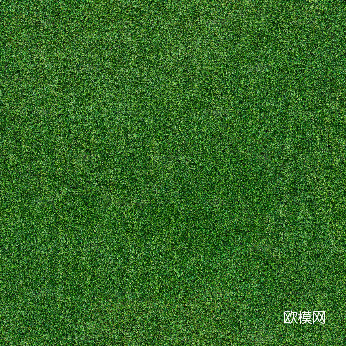 草地草皮草坡136下载