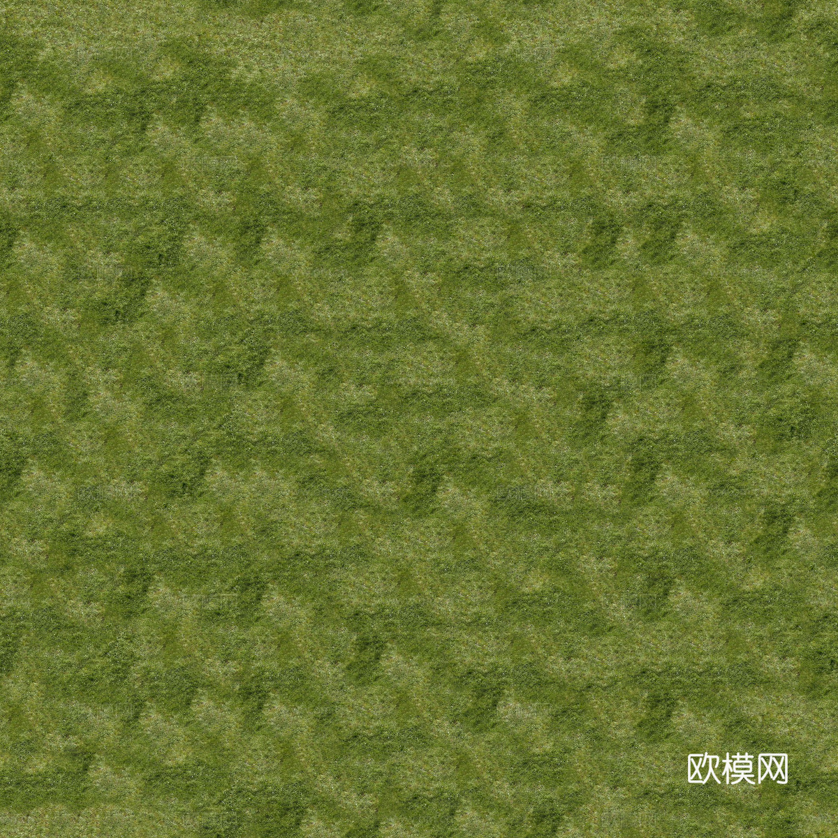 草地草皮草坡35