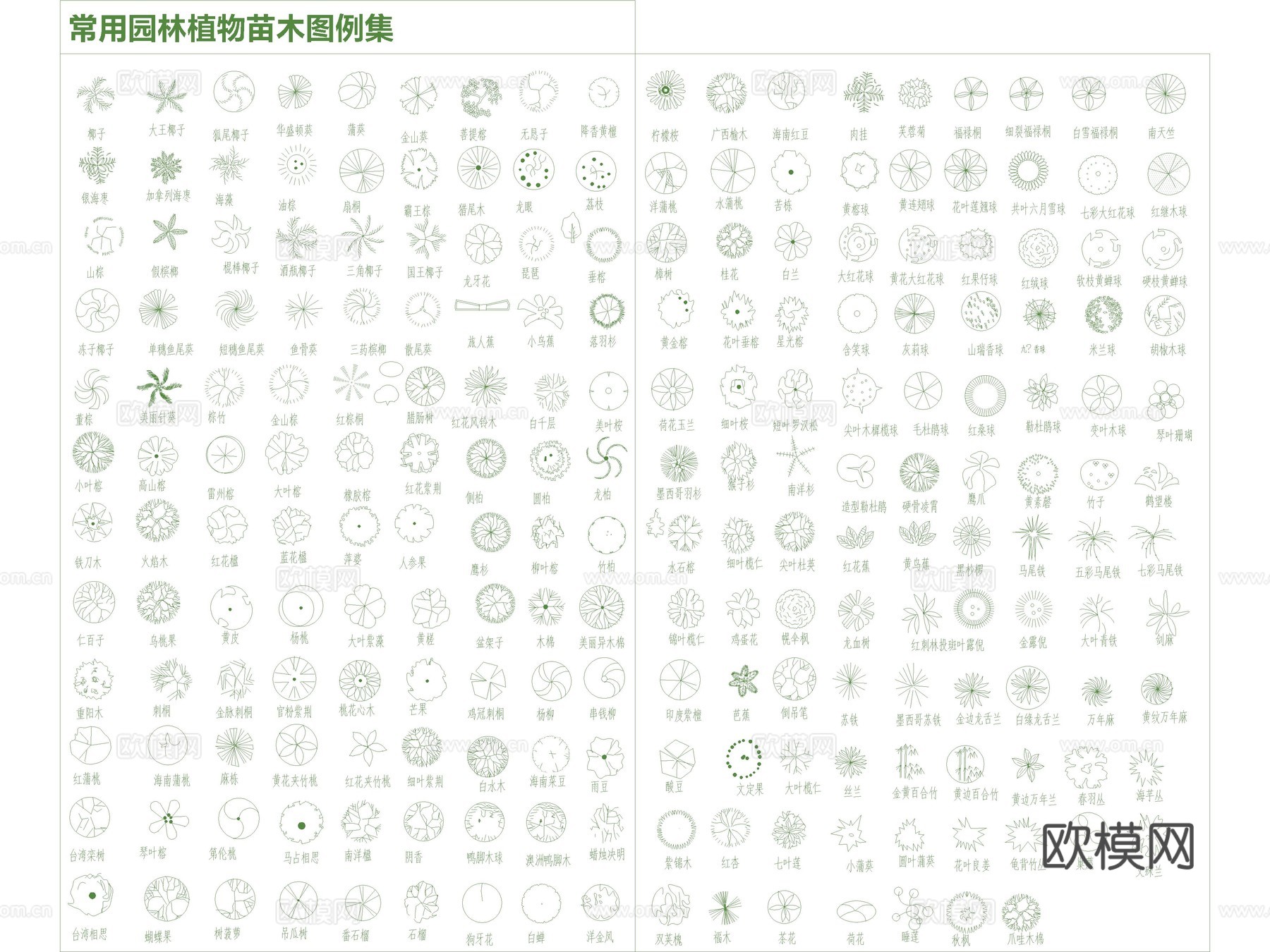 2026年最新超全园林景观植物树木图例平面立面CAD图库cad施工图