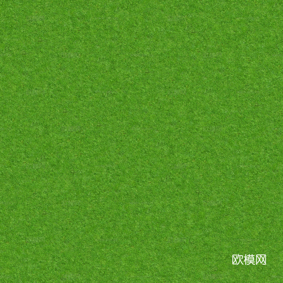 草地草皮草坡92下载