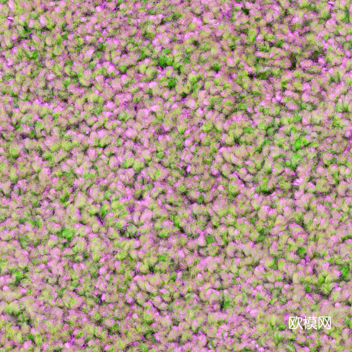 灌木花丛，灌木丛153