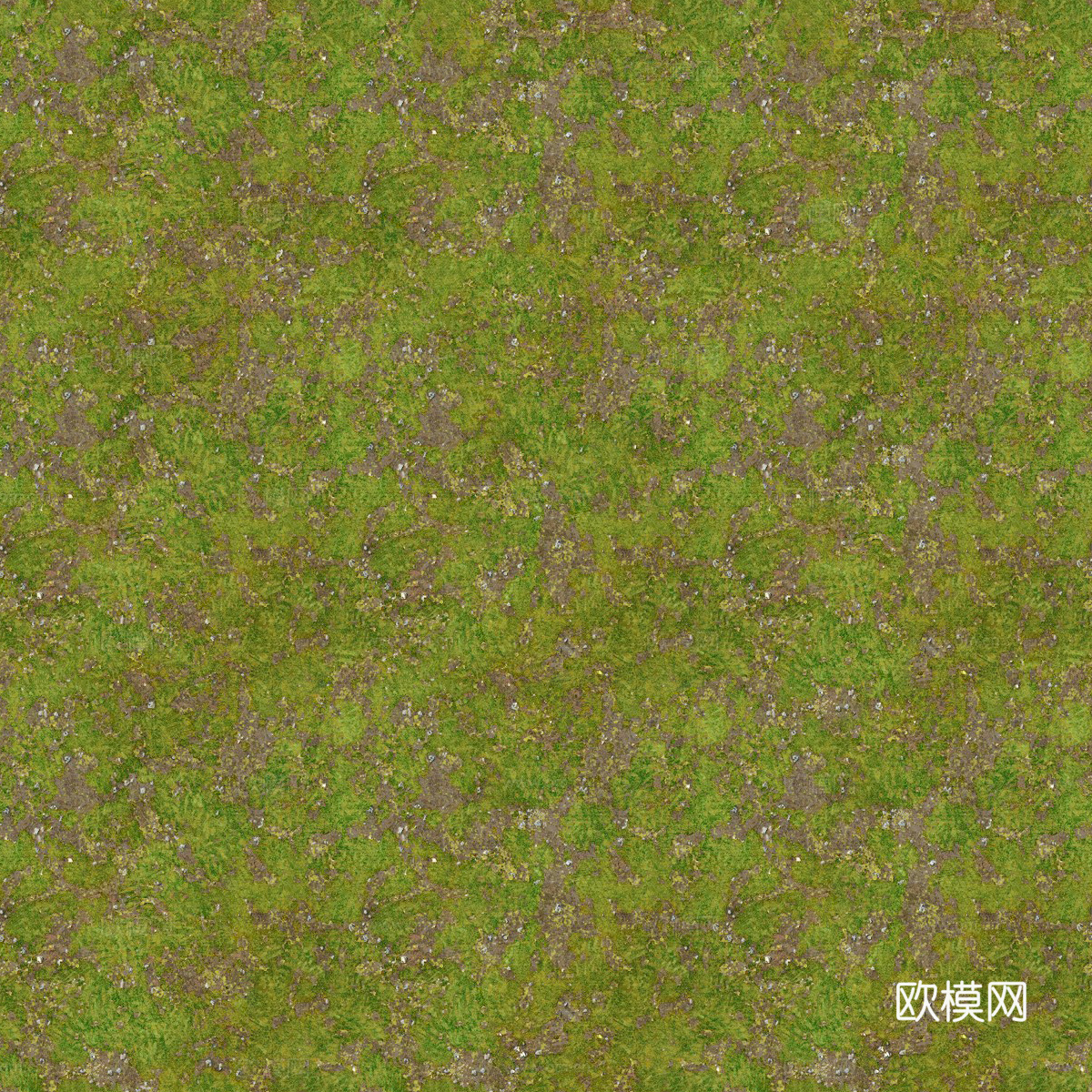 草地草皮草坡144下载