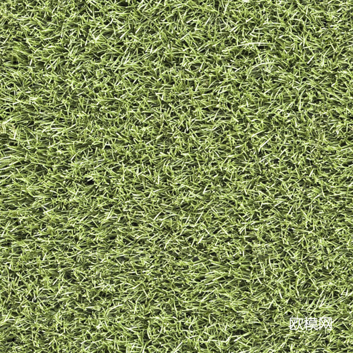 草地草皮草坡17