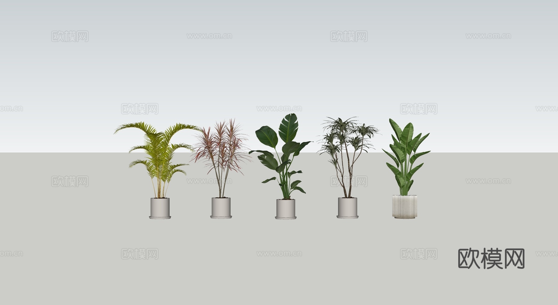 北欧风盆栽 白色花盆 观叶植物 龟背竹旅人蕉棕榈 室内观叶植su模型