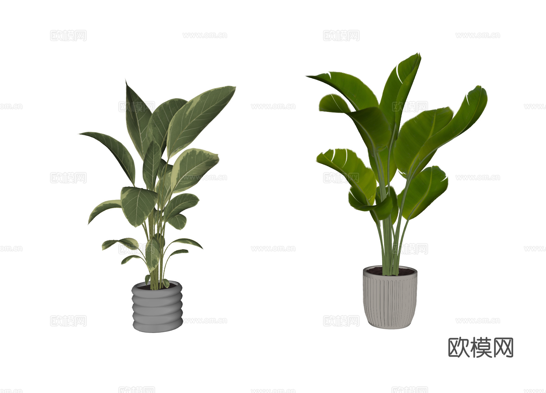 现代盆栽植物 绿植 室内盆栽 仿真植物su模型