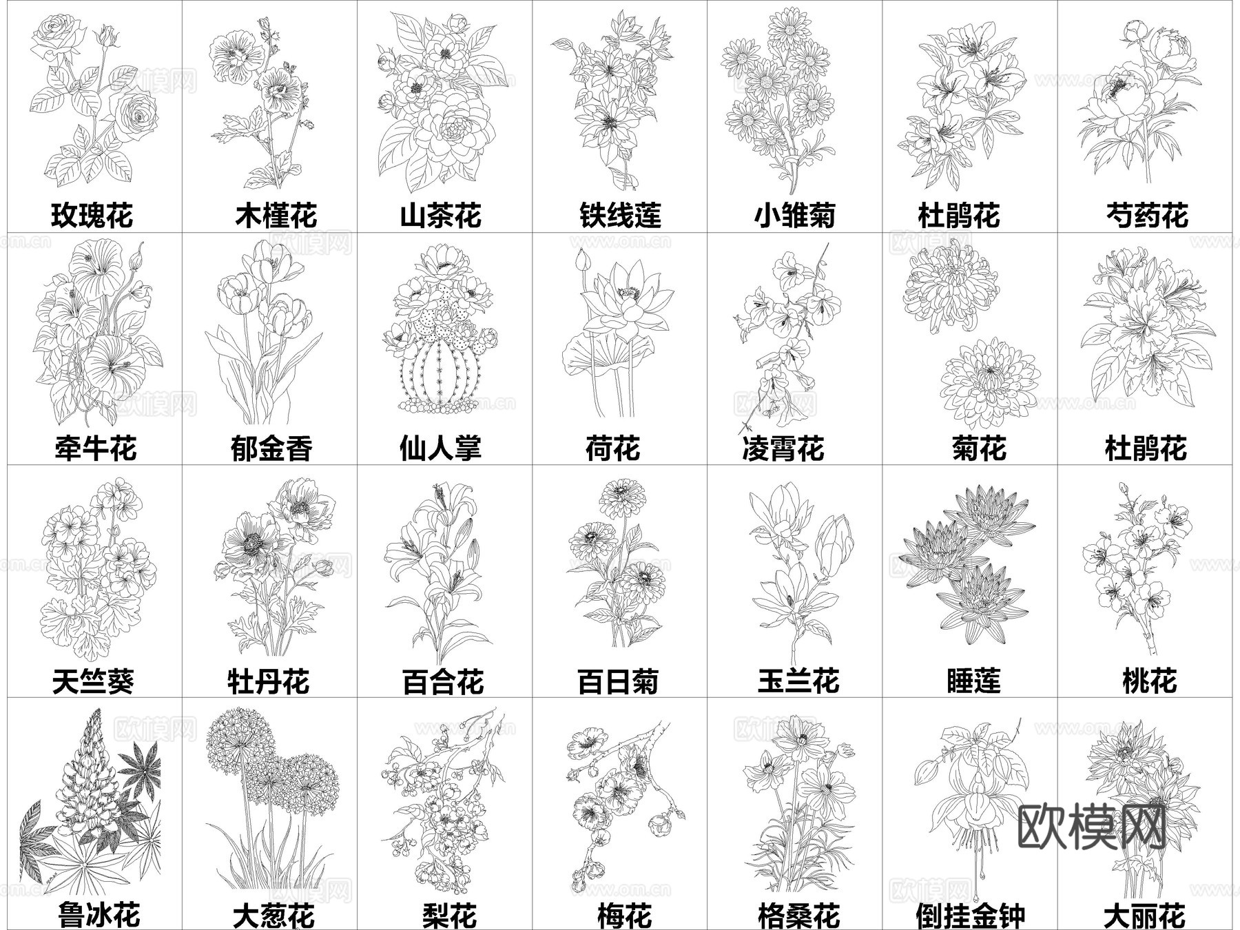 2026年最新超全花草花卉绿植CAD图库cad施工图