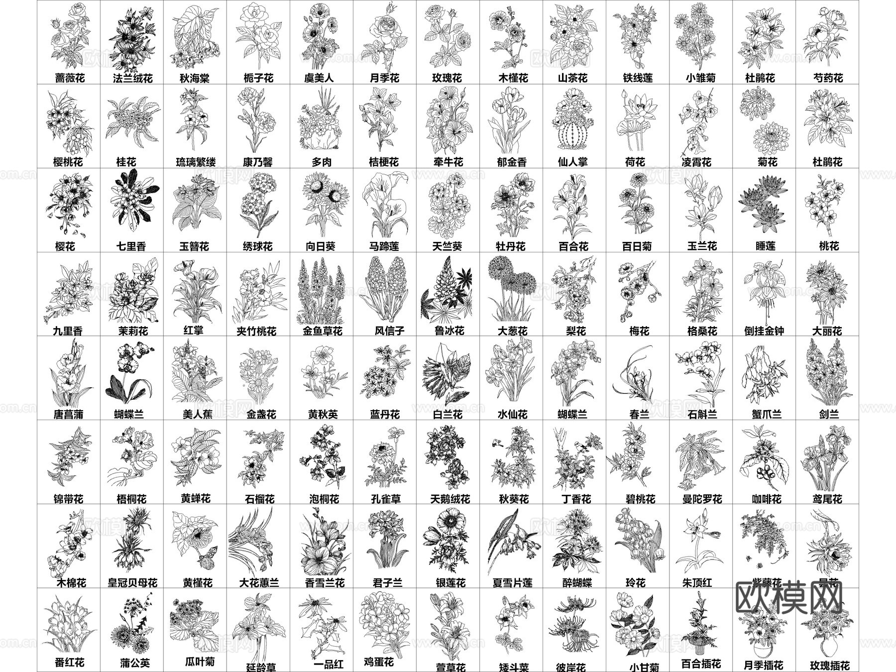 2026年最新超全花草花卉绿植CAD图库cad施工图