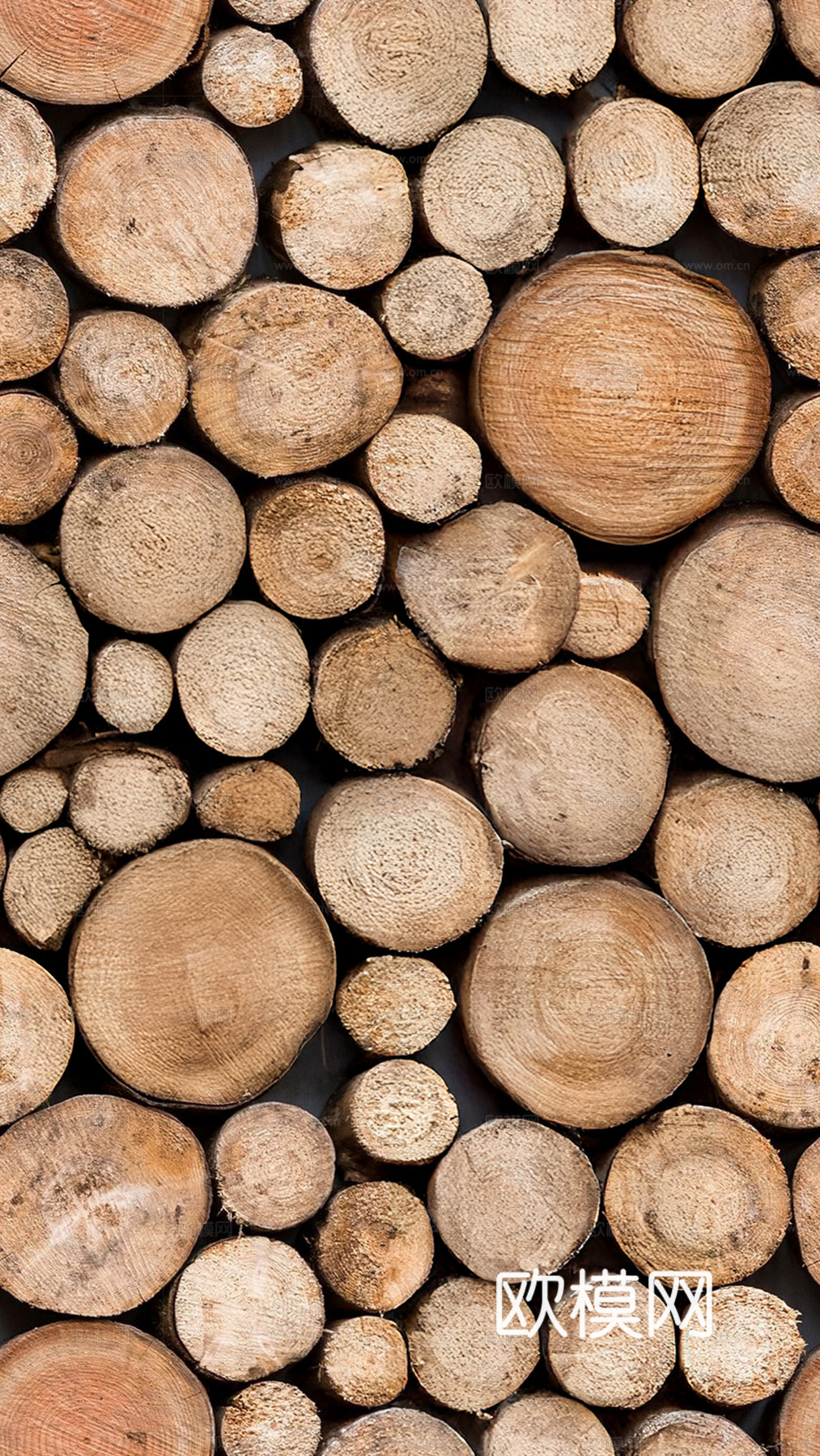 现代工业其他木头_无缝原木堆横截面贴图