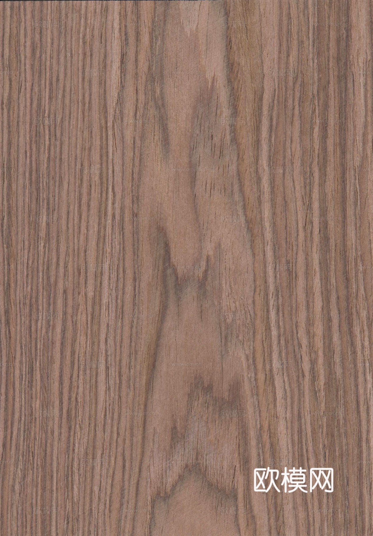 现代其他木纹_胡桃木木纹贴图