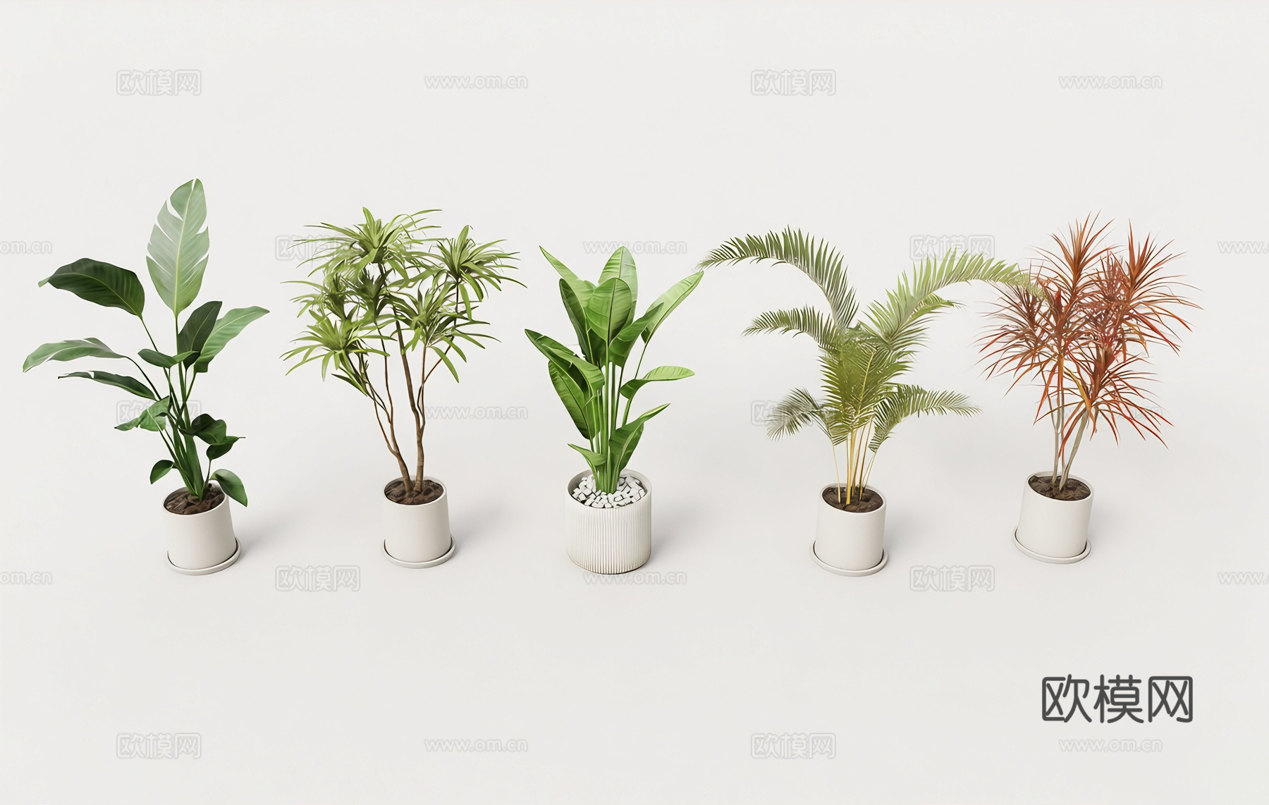 北欧风盆栽 白色花盆 观叶植物 龟背竹旅人蕉棕榈 室内观叶植su模型