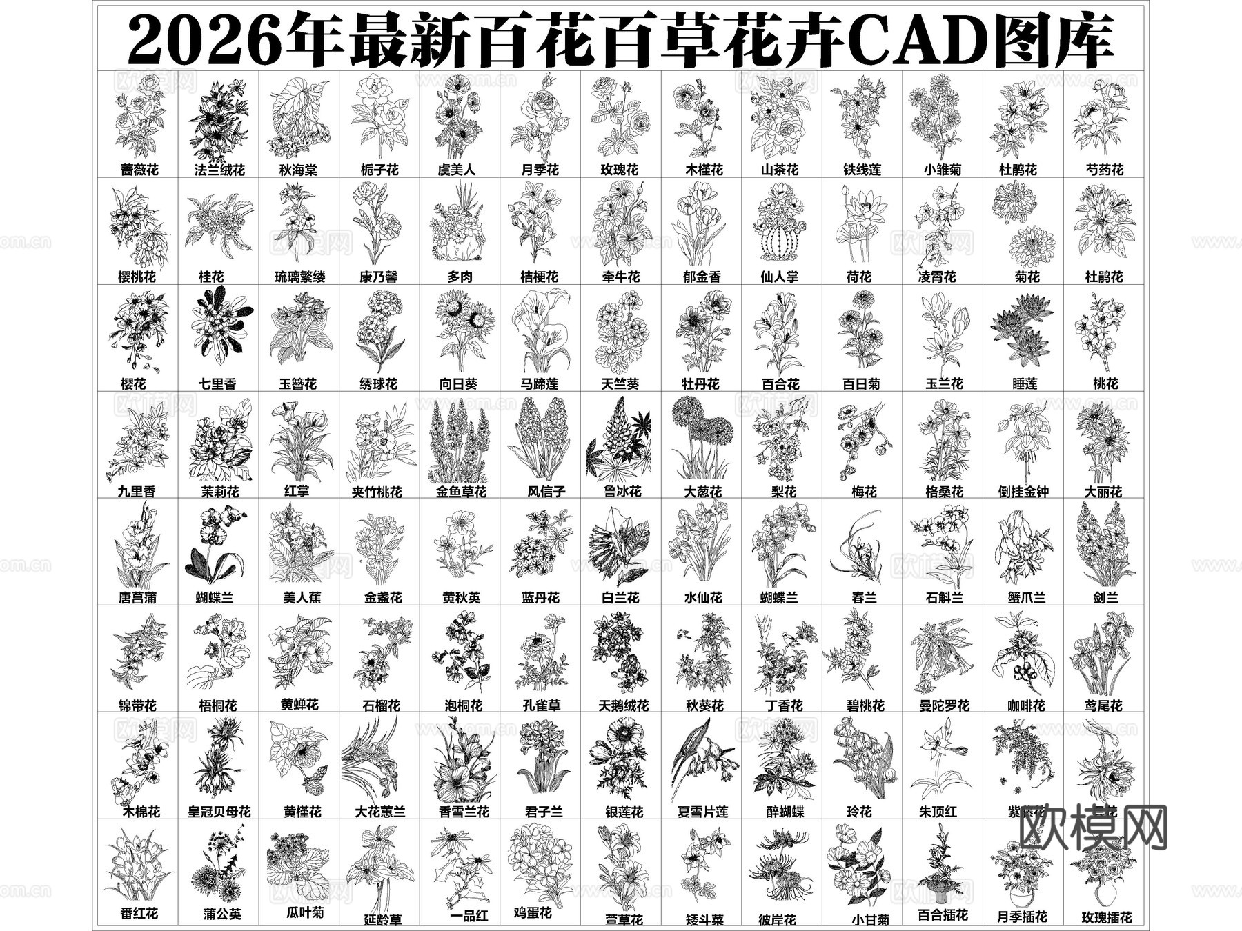 2026年最新超全花草花卉绿植CAD图库cad施工图