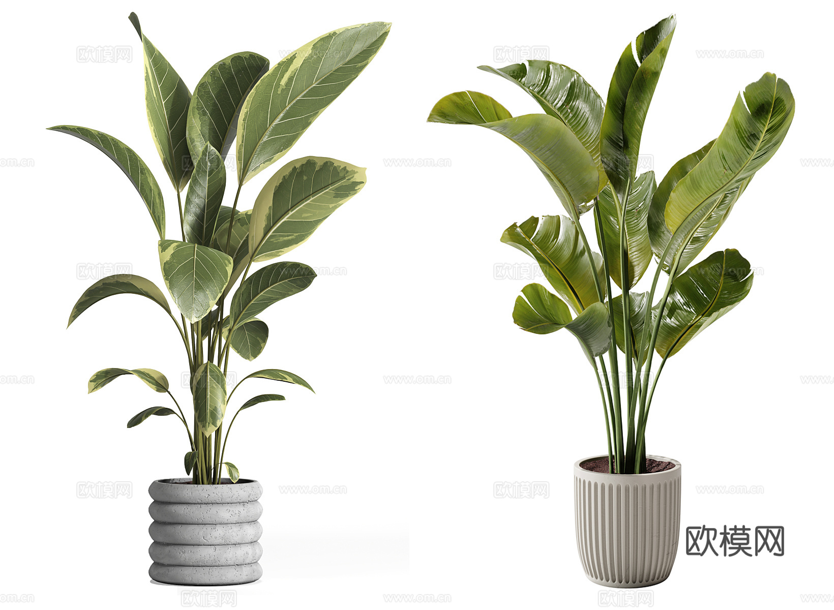 现代盆栽植物 绿植 室内盆栽 仿真植物su模型