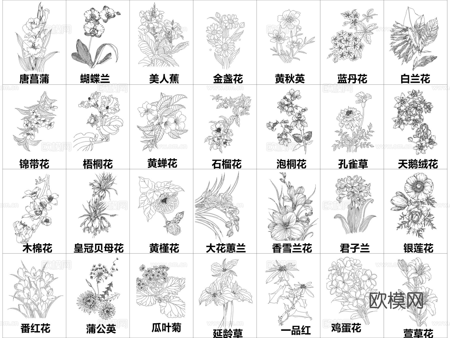 2026年最新超全花草花卉绿植CAD图库cad施工图