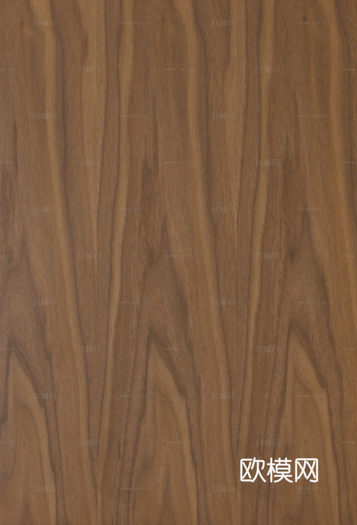 现代其他木纹_胡桃木木纹贴图