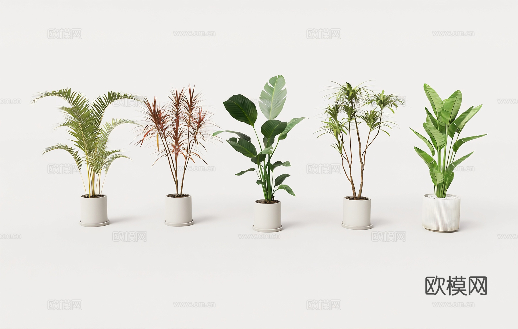 北欧风盆栽 白色花盆 观叶植物 龟背竹旅人蕉棕榈 室内观叶植su模型