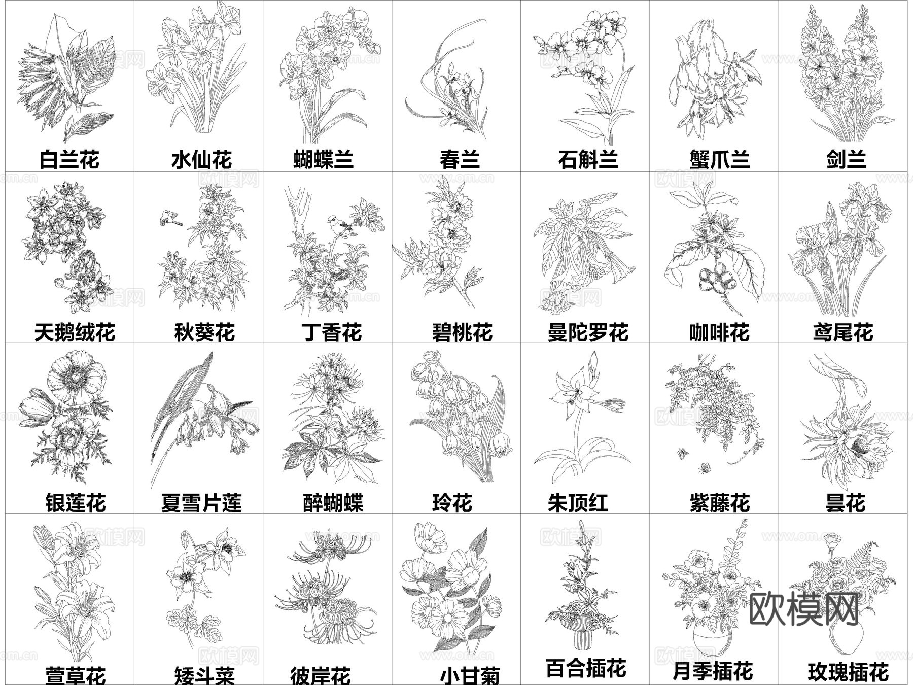2026年最新超全花草花卉绿植CAD图库cad施工图