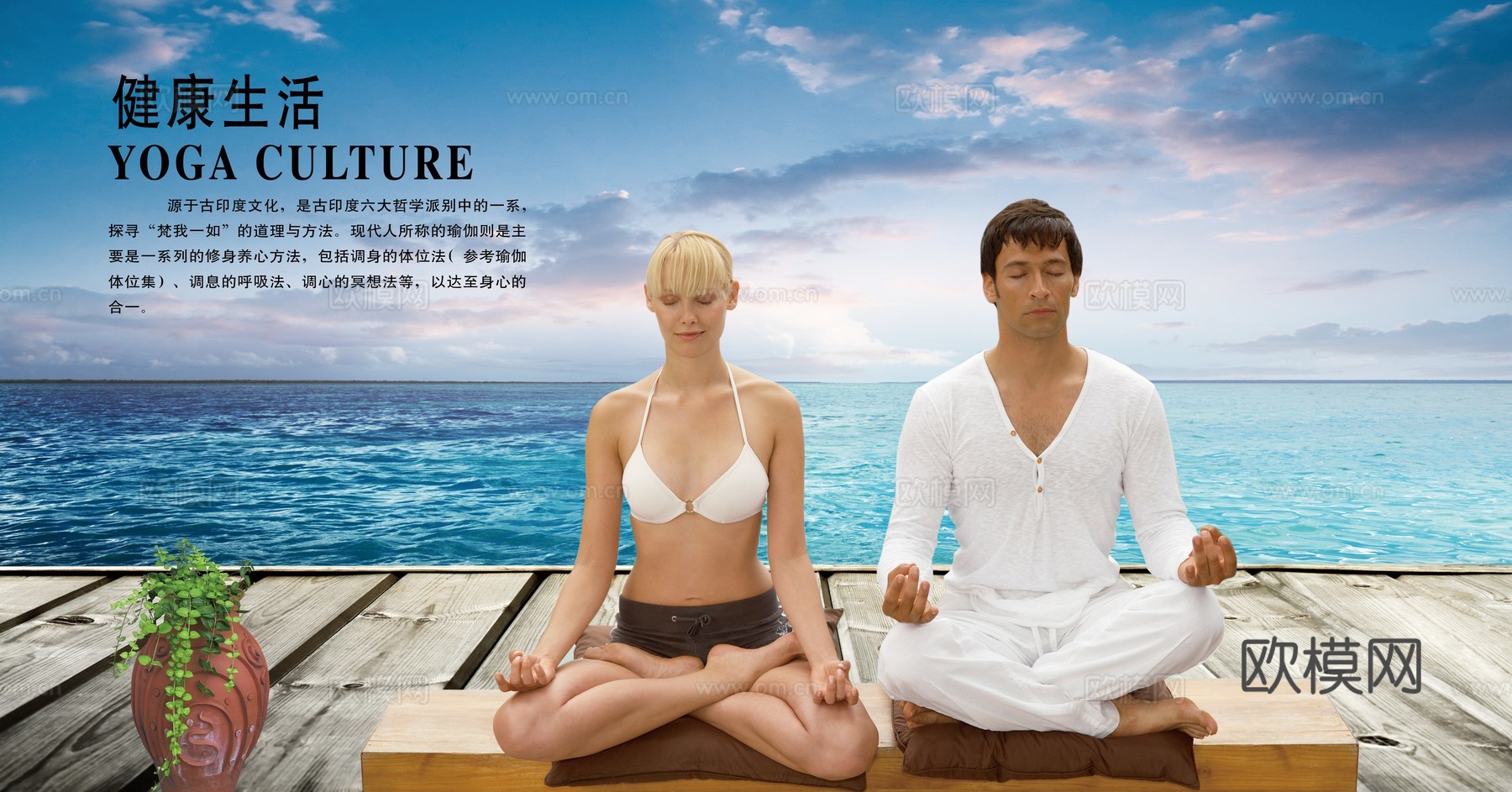 瑜伽广告海报16