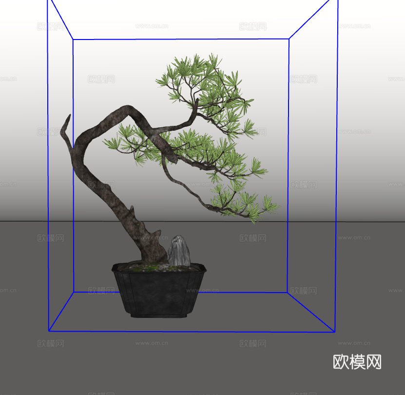 盆栽su模型