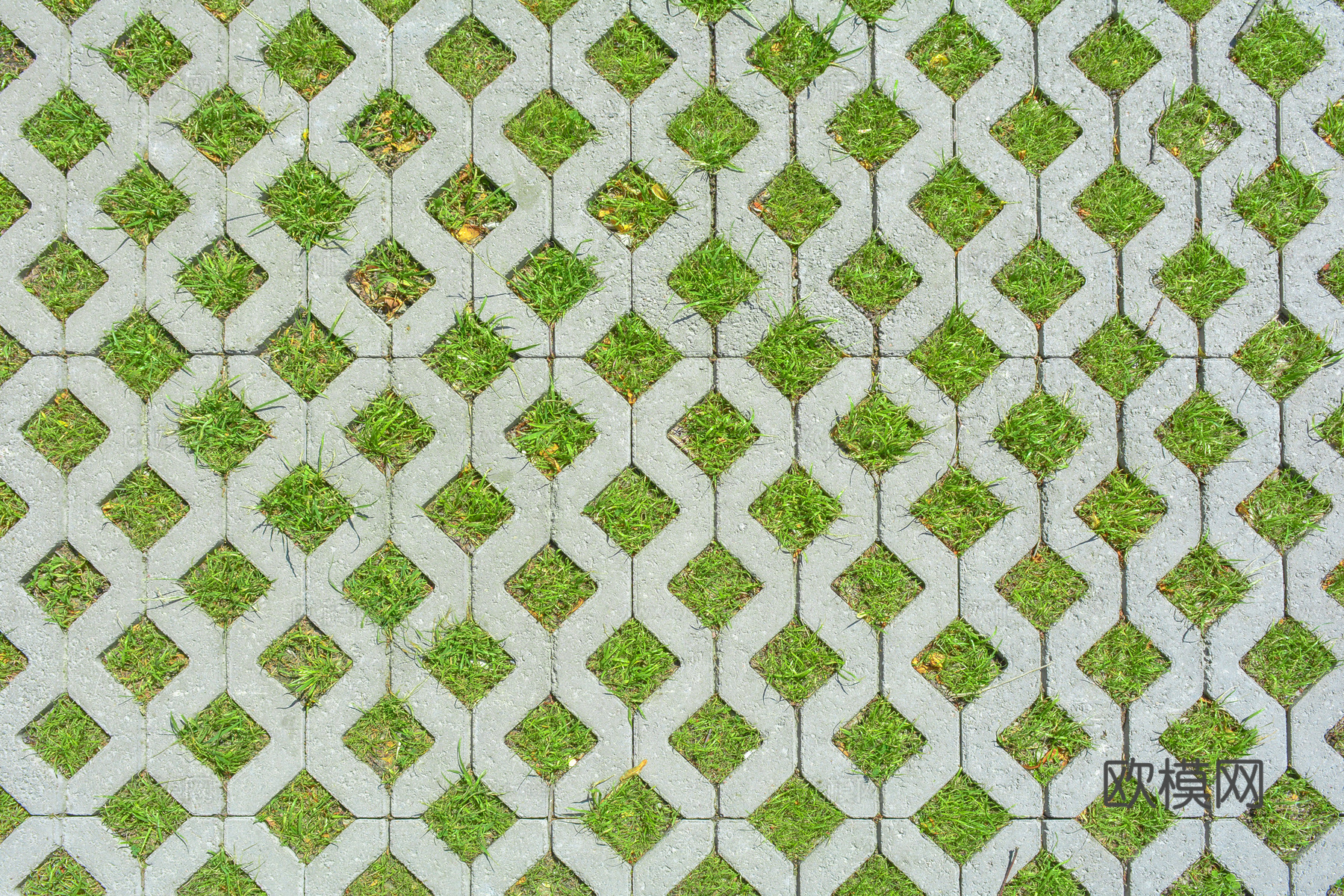 植草砖地面