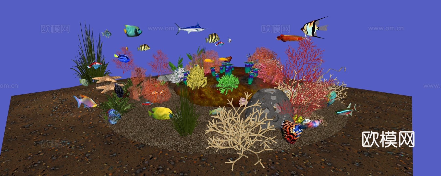 鱼缸su模型