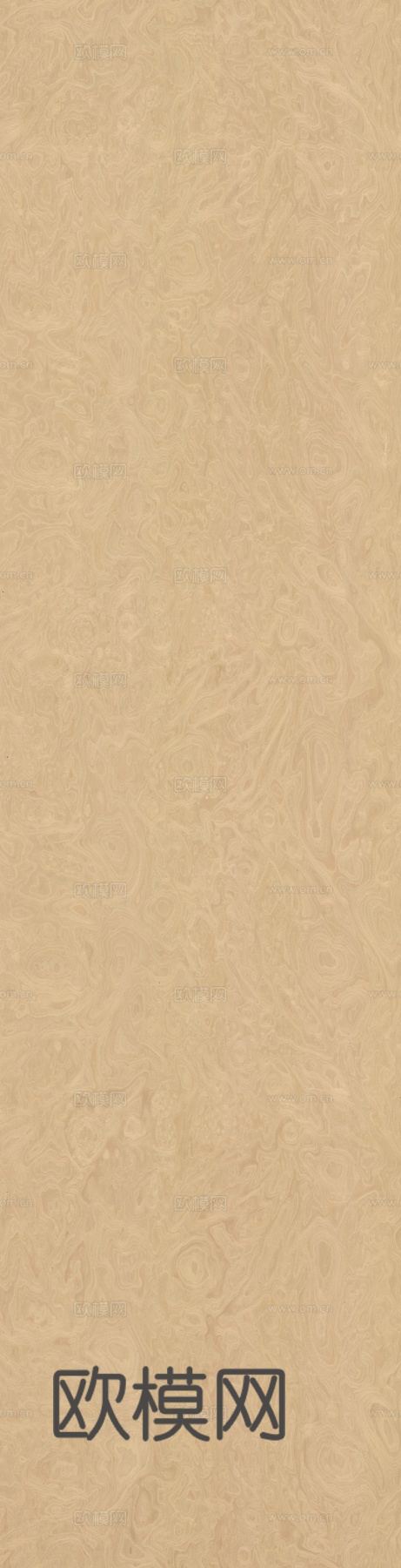 高清无缝桦木木纹