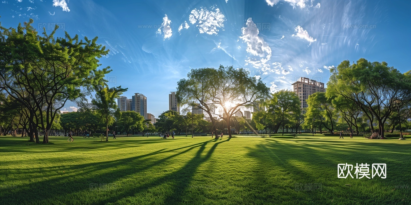 户外全景草坪天空