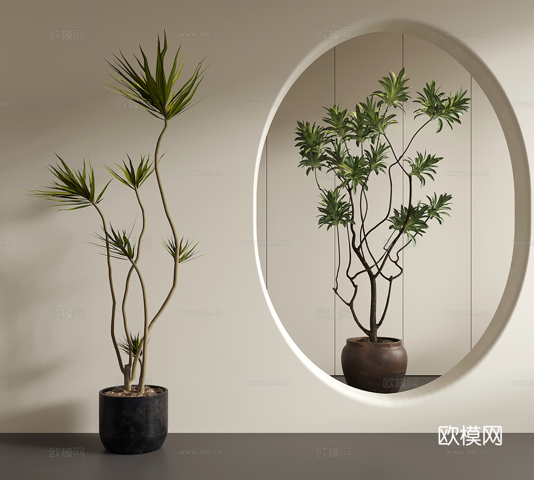 中古侘寂绿植 盆栽 千年木 龙血树 百合竹su模型