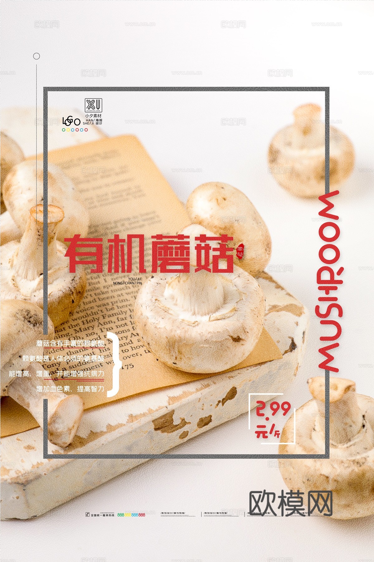 美食广告海报102